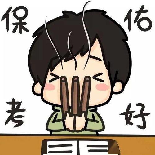 老天保佑，波兰老铁们,波兰老铁们的奋斗与梦想