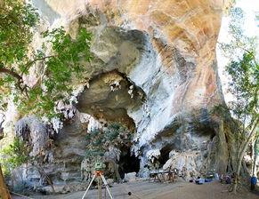 斩首者,揭秘暗影中的冷酷杀手